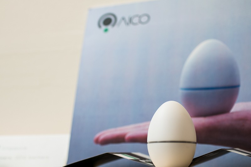 WTP Smart egg