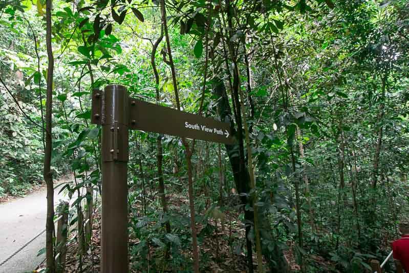 bukit-timah-south-view-trail