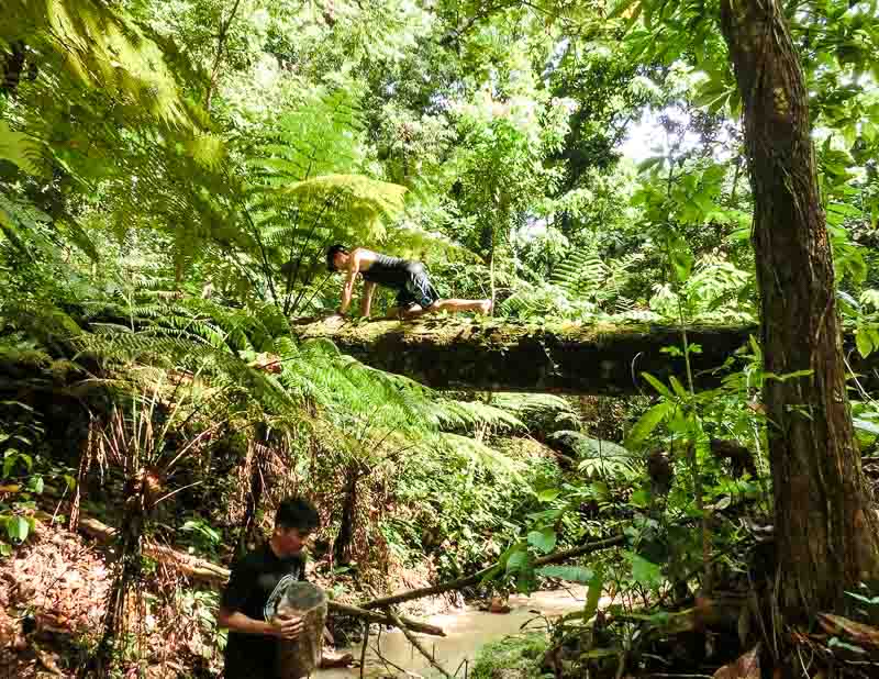 human-naturally-into-the-wild
