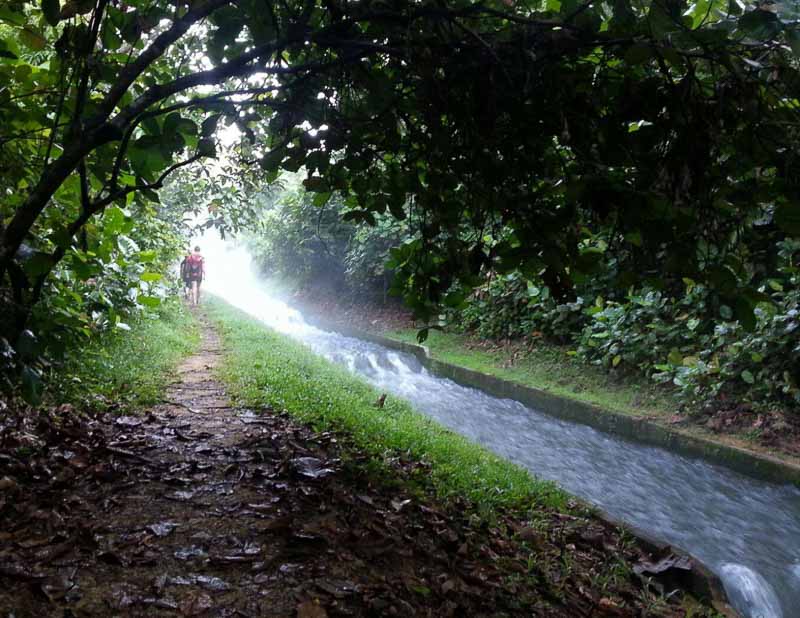 human-naturally-trekking