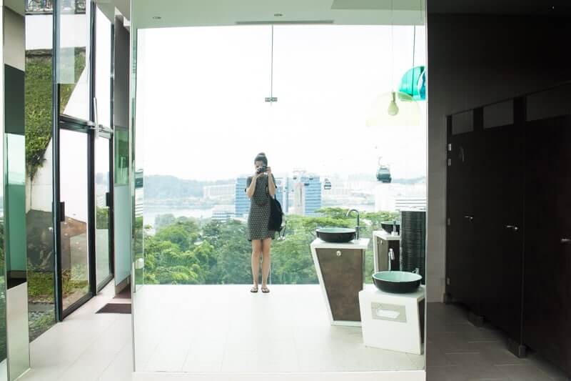 mount faber toilet