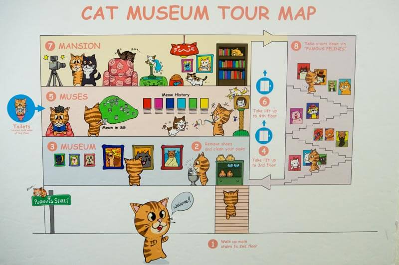 The Cat Museum