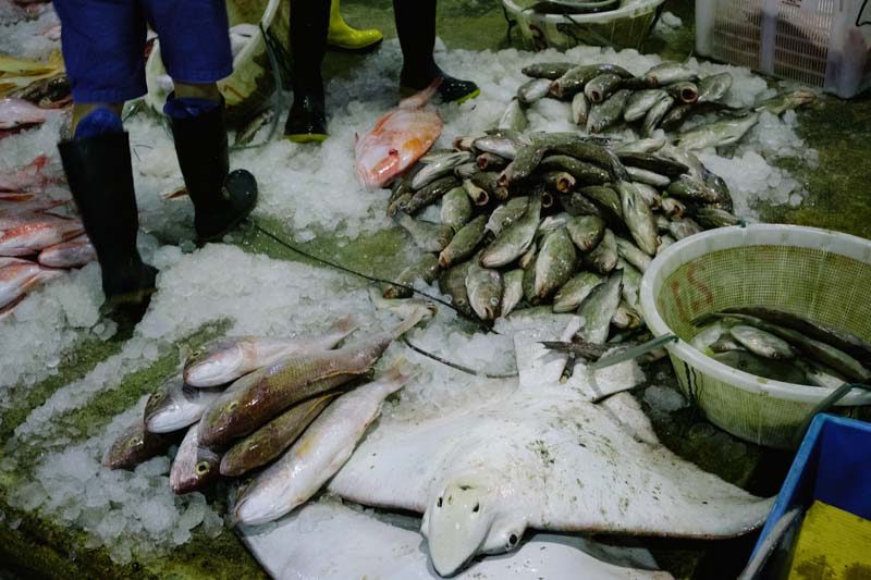Jurong Fishery Port Photo-10