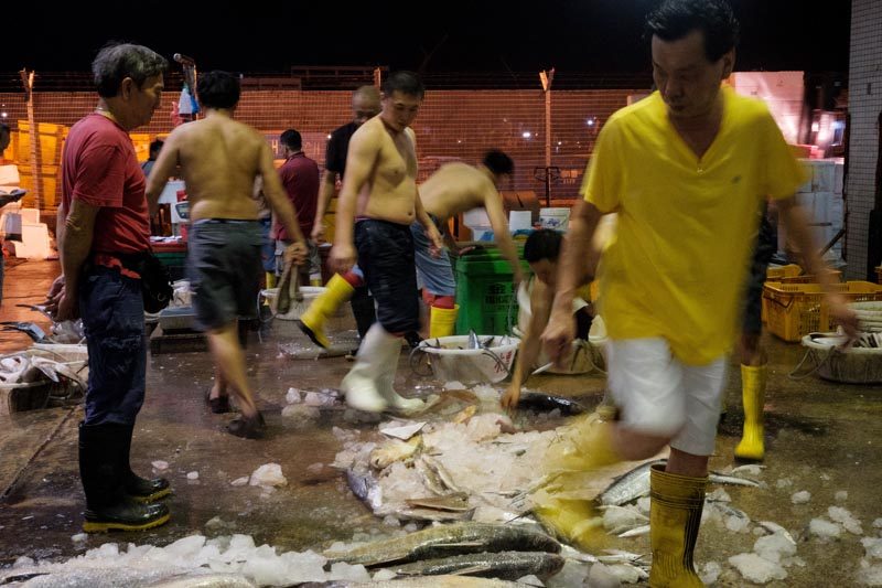 Jurong Fishery Port Photo-7