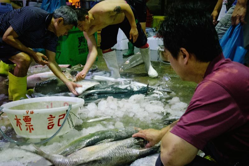 Jurong Fishery Port Photo-8