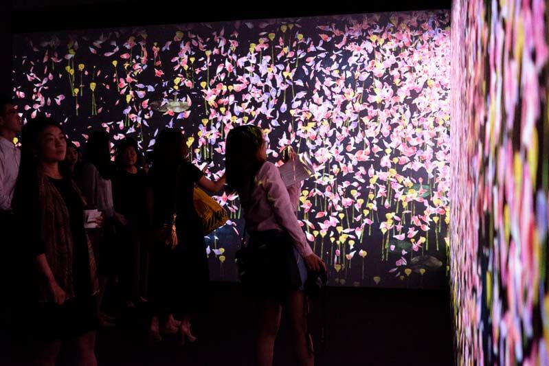 Light to Night Festival 2018-4