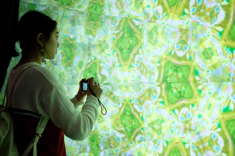 Light to Night Festival 2018-9