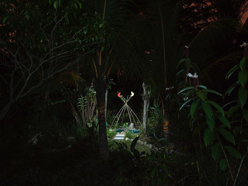 Singapore International Photography Festival 2018 Photo online-1