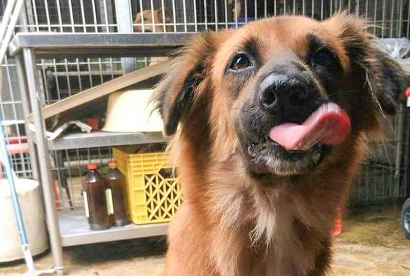 Tiong Bahru Bakery Online 5