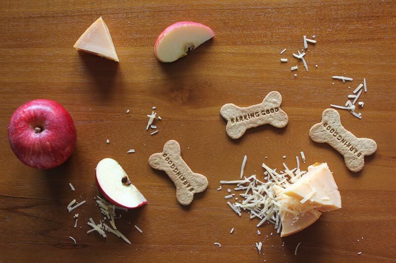 Camp Canine Online-2