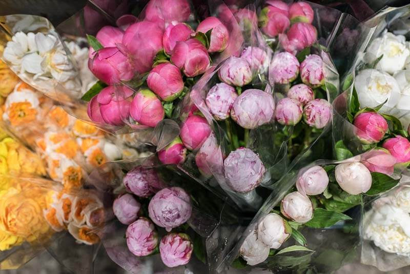 gg fresh flowers resized-2