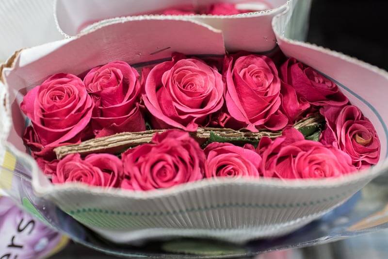 gg fresh flowers resized-6