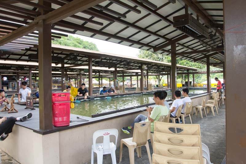 orto park yishun singapore prawning