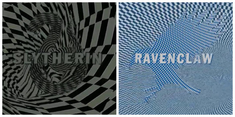 Harry potter x Vans slytherin ravenclaw