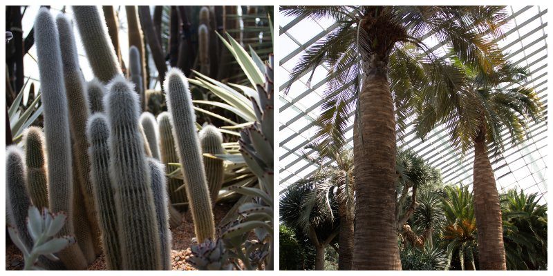 GardensByTheBay 10