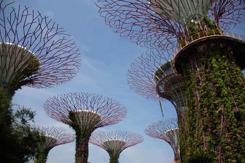 GardensByTheBay 12