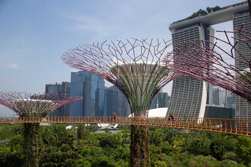 GardensByTheBay 13