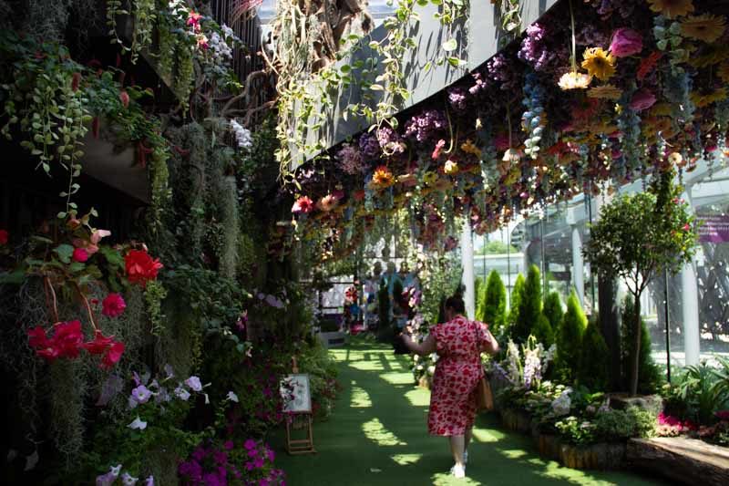 GardensByTheBay 14