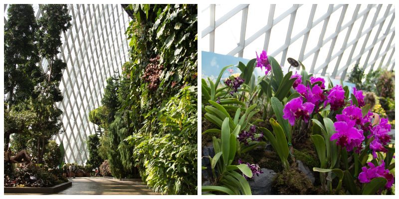GardensByTheBay 3