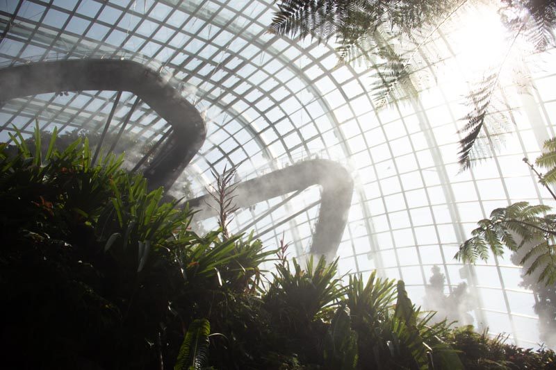 GardensByTheBay 8
