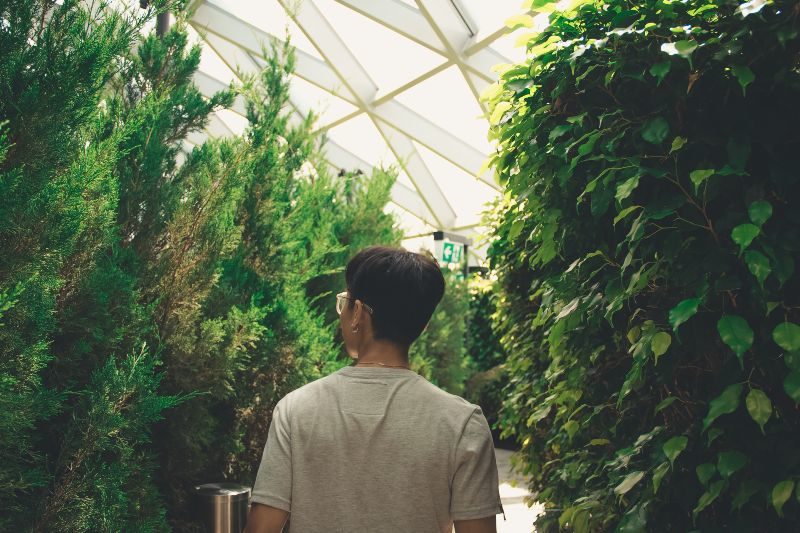 canopy park jewel changi - maze