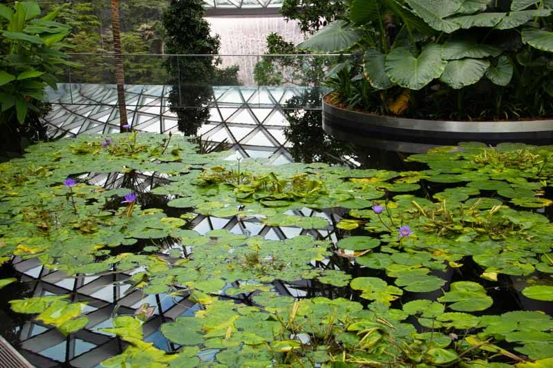 canopy park jewel changi