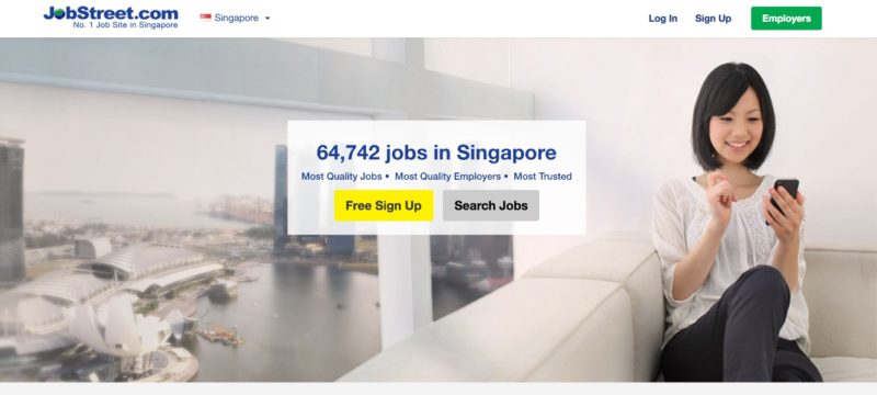 Job seeker 6 - online