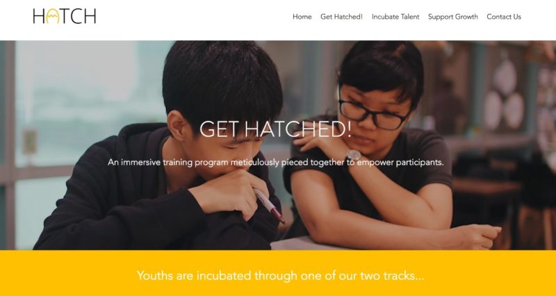 Job seeker 1 - online