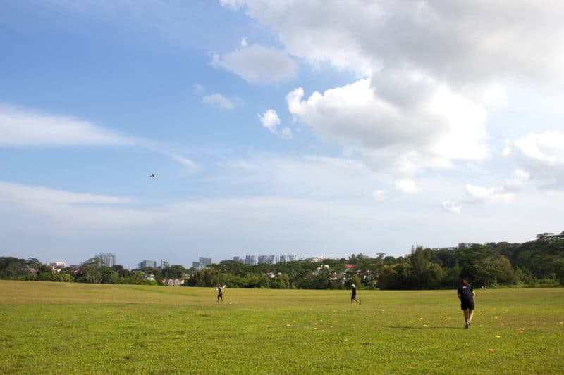 Laser Clay Open field