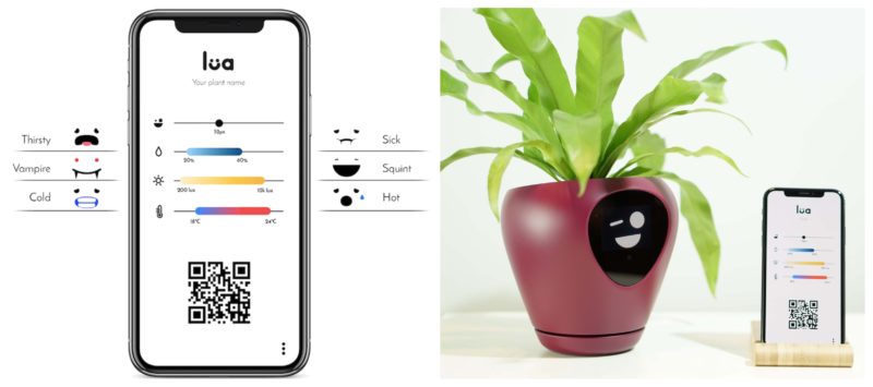 Dusør Panda justering This Smart Planter Shows You What Your Plant Needs Through Emotion  Expressions