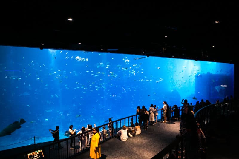 SEA Aquarium