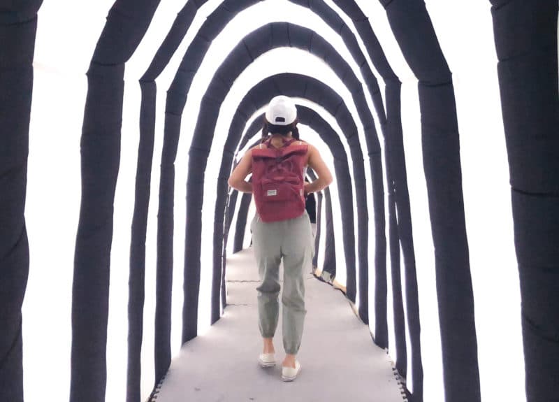 Phobias science centre singapore 2