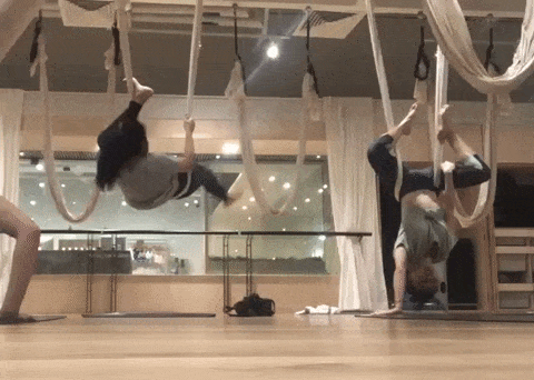 Aerial yoga gif me and tress
