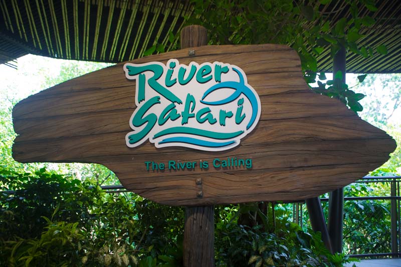 river safari 23 river safari 23