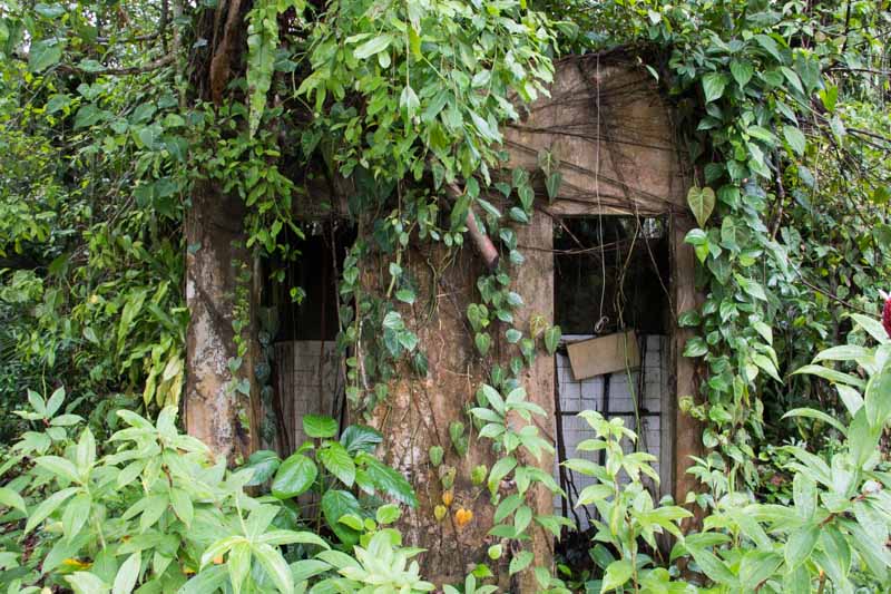 thomson nature park 11