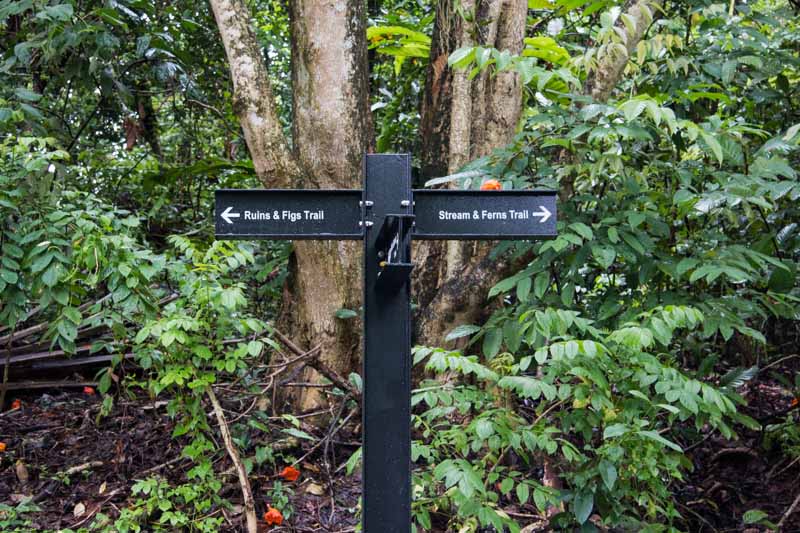 thomson nature park 12