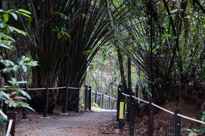 thomson nature park 14