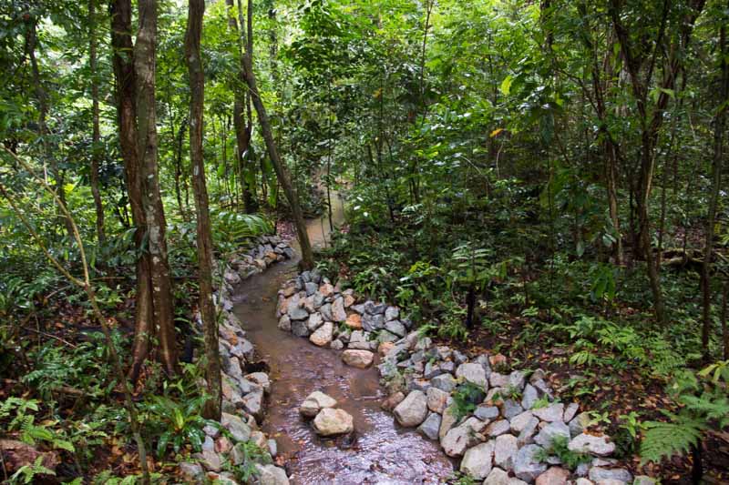 thomson nature park 19