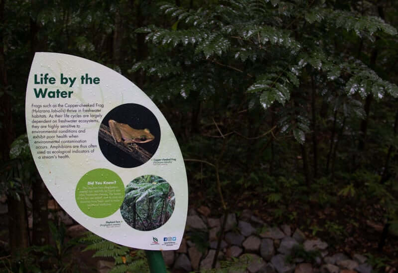 thomson nature park 20