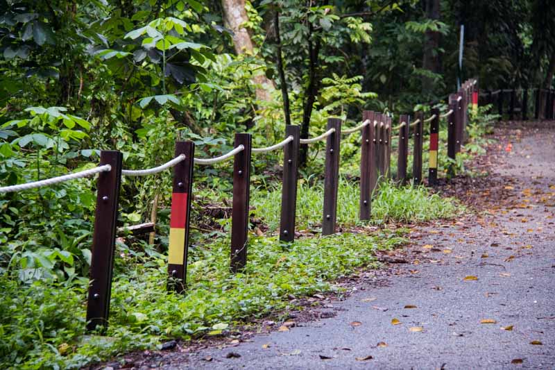 thomson nature park 23