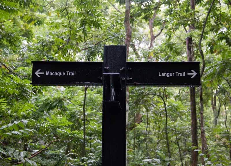 thomson nature park 24