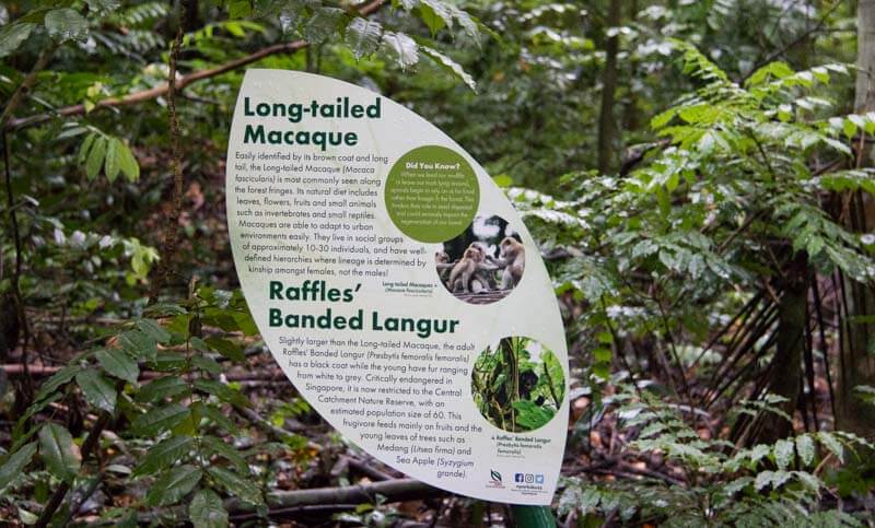 thomson nature park 31