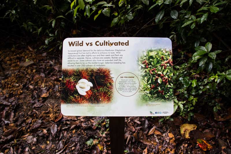 thomson nature park 9