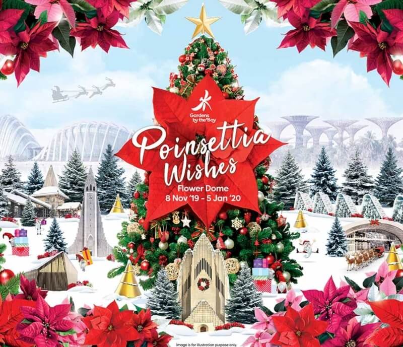 GBB Poinsettia Wishes