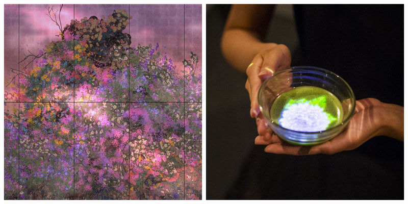 things to do jan 2020 6