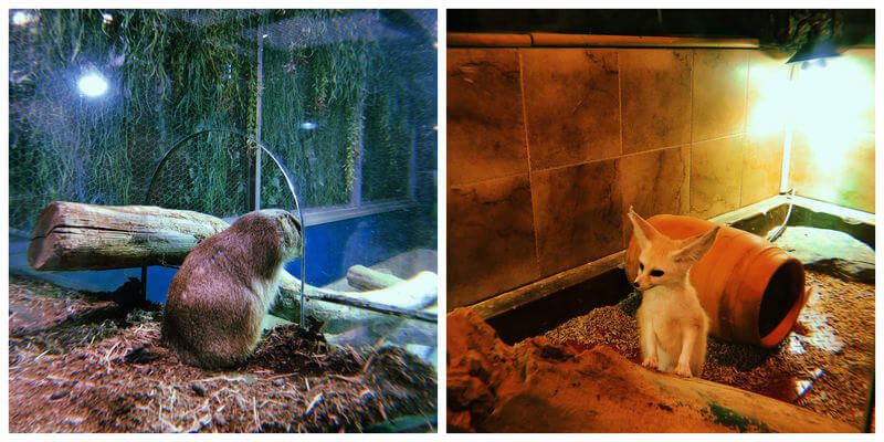 korea lesser known spots listicle 9